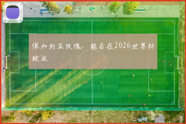 保加利亚玫瑰,能否在2026世界杯绽放