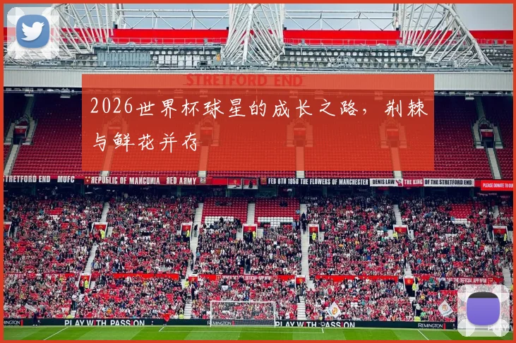 2026世界杯球星的成长之路，荆棘与鲜花并存
