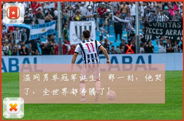 温网男单冠军诞生!那一刻,他哭了,全世界都沸腾了!
