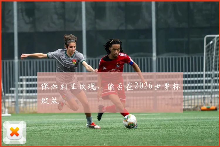 保加利亚玫瑰，能否在2026世界杯绽放